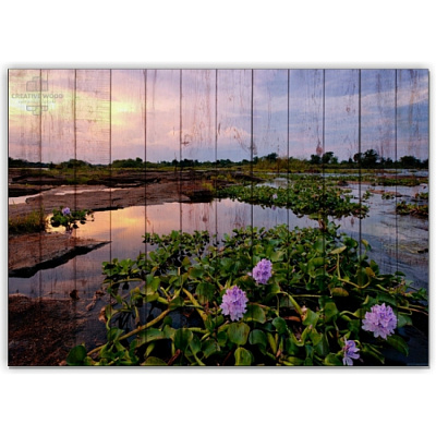Картины Природа - Природа Зимбабве, Природа, Creative Wood